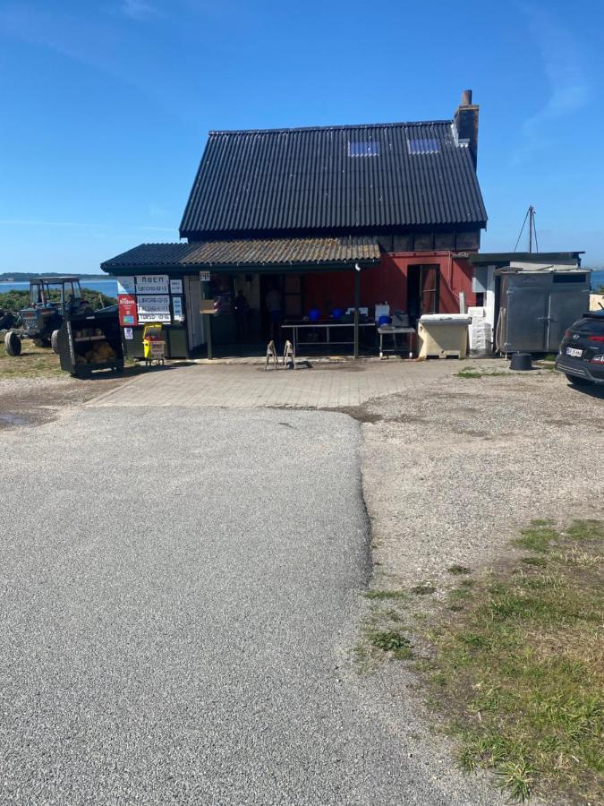 Nyhus, Dragsmur, Mols Knebel Exterior foto